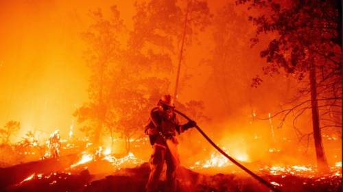 china wildfires 3-31