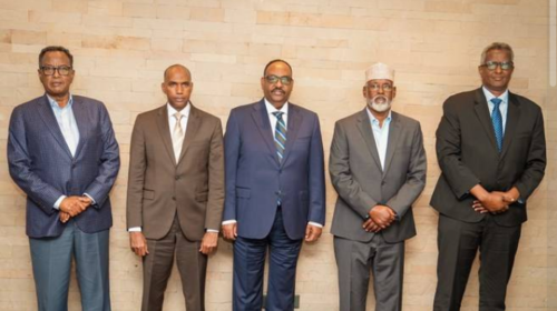 establishment of the Somali Future Council,