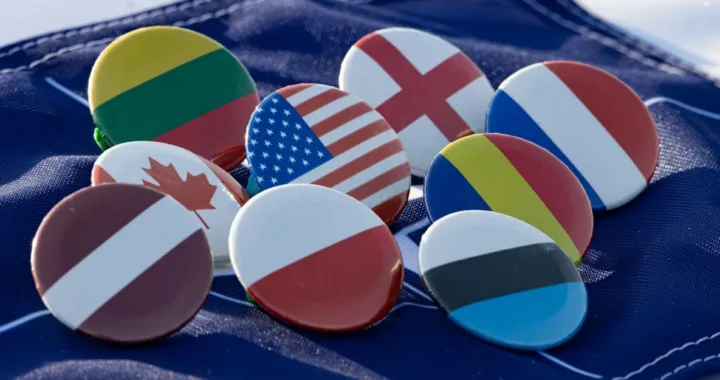 nato flag buttons