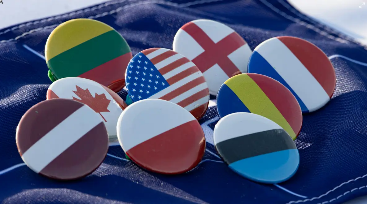 nato flag buttons